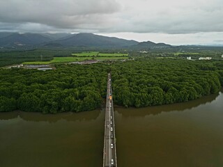 Morning traffic on bridge with river and mangrove area.
