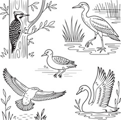 Naklejka premium Line Art Birds Set - Perching, Flying, and Standing Illustrations