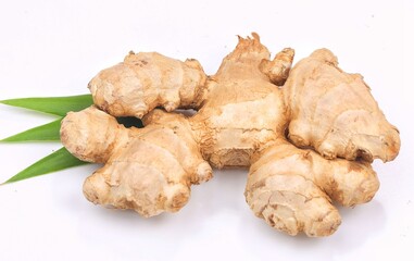 Jahe. Ginger isolated with white background