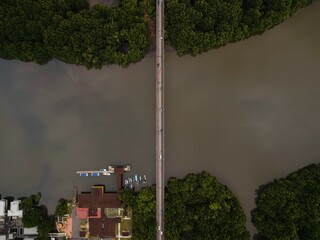 Morning traffic on bridge with river and mangrove area.