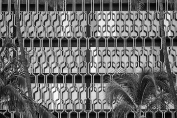 Reflecting Windows with a Sun Facade and Palm Trees in the Foreground.