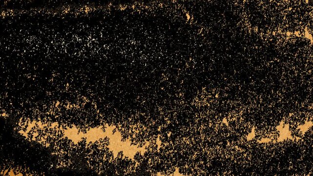 Grainy Grunge Brown Paper Texture Overlay Motion Background