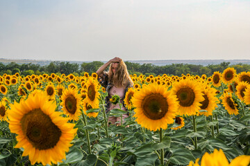 young blond woman among sunflowers in a field, straightens her hair with her hands, 
view from...