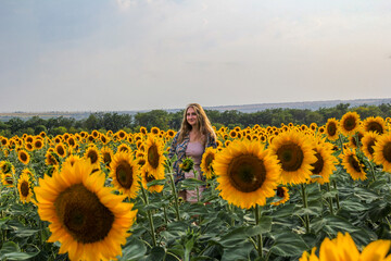 young blonde woman standing in sunflowers in a field, posing, smiling, satisfied, 
view from afar, large yellow flowers, hills, summer, 