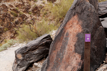Outdoor view of a trail marker on a metal post along a walking track Phoenix