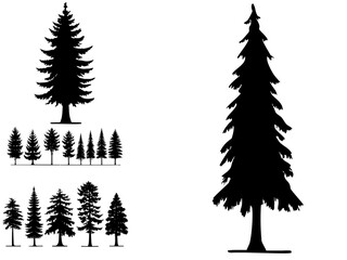 Obraz premium Silhouette evergreen trees vector illustration forest pine fir design art