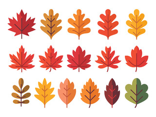 Autumn leaves bundle featuring a variety of leaf shapes in fall tones. Vector collection perfect for craft projects, posters, stationery, and digital seasonal designs.