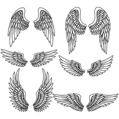 Collection of detailed hand-drawn angel wings in black and white. Various wing styles and shapes, isolated on white background, perfect for tattoos, fantasy art, and decorative design projects.