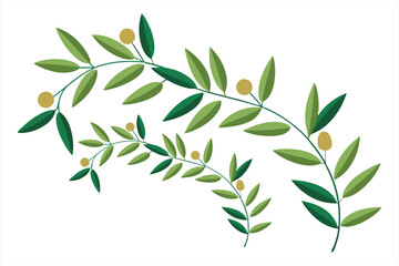 Decorative arrangement of olive branches with green leaves and small yellow olives on a white background