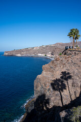 A palm tree casts a shadow on a rocky cliff overlooking the ocean. The scene is serene and peaceful, with the palm tree providing a sense of calmness and tranquility