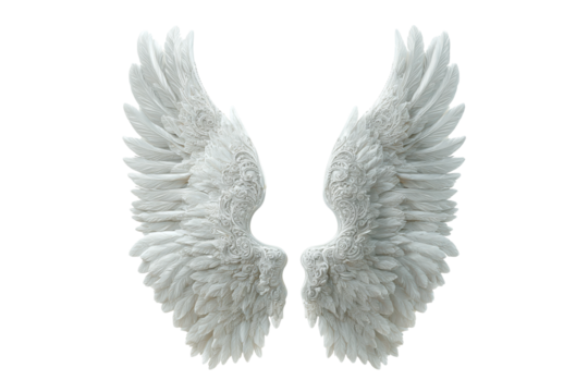Pair of white angel wings isolated on transparent background