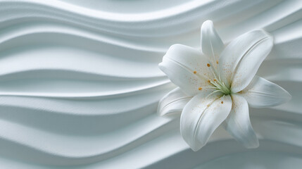 A white lily flower resting on a textured white surface with soft wavy lines in a minimalist style