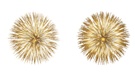 Two large, spherical golden fireworks bursts with intricate branching patterns, luminous particles, isolated on transparent background, no shadows, concept of explosive energy and intricate beauty.