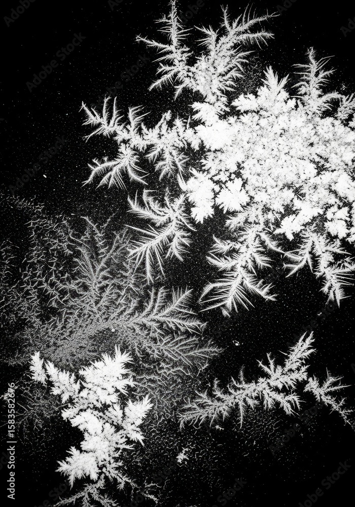 Poster delicate frost patterns on black background - intricate frost formations create a stunning winter sc