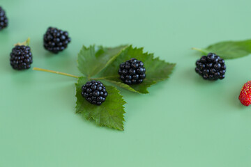 Blackberries with green leaves for a healthy eating concept on a green background