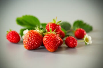 Ripe red strawberries on a gray background