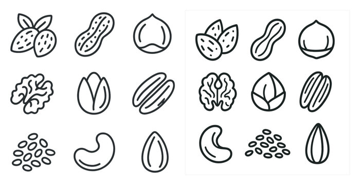 Set of images of nuts and seeds. The nuts and seeds are shown in various sizes and shapes