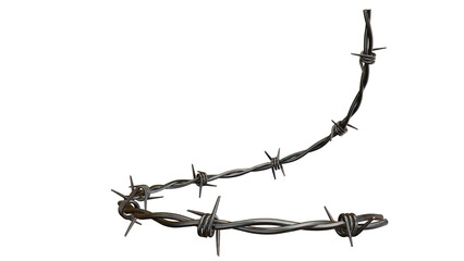 Barbed metal steel wire isolated on a transparent background