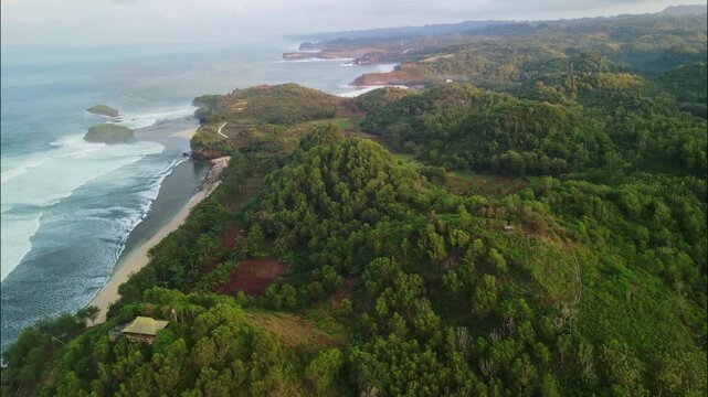 A vast coastal landscape where an endless expanse of rolling green hills and forest meets the sea, creating a rugged line of beaches and cliffs. Aerial Watu Karung Beach in Pacitan, Indonesia.