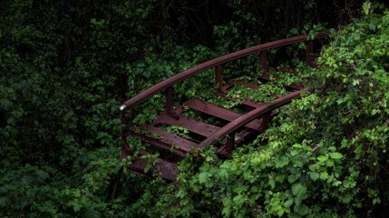 A weathered wooden bridge overgrown with lush green vines in a serene forest setting