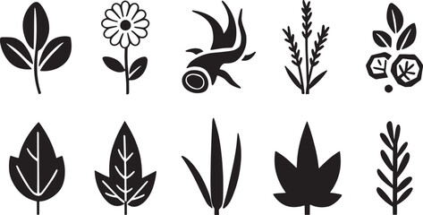 Botanical Leaves and Herbs Icons Set Vector Illustration Natural Elements for Decoration, Design, and Herbal Medicine on Transparent
