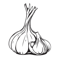 Garlic bulb and cloves vector design concept black and white illustration.