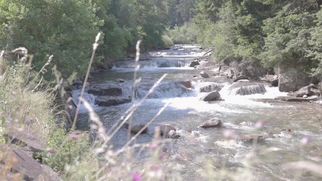 Wide mountain river in the Dolomites