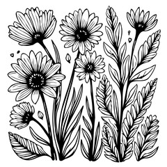 Elegant botanical vector illustration featuring detailed daisy flowers and foliage