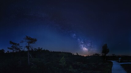 Starry Night Sky with Milky Way