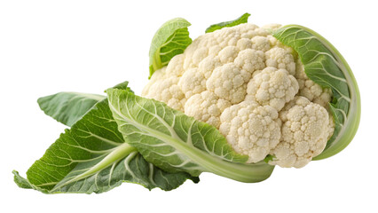 Fresh horseradish root vegetable with green leaves isolated on white background close up healthy food ingredient