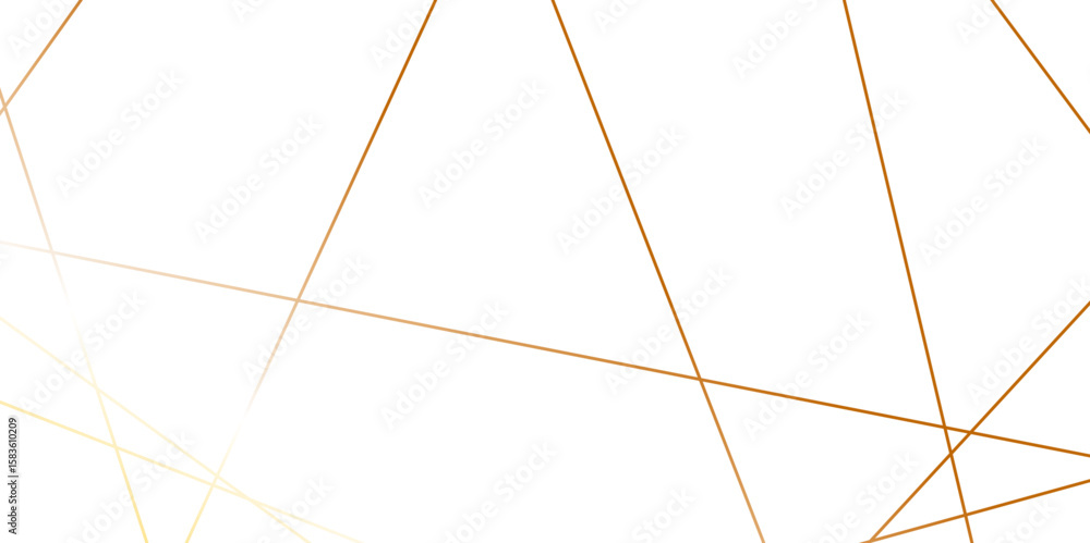 Poster luxury modern technology concept diagonal line .abstract geometric random chaotic lines background. 
