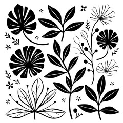 Elegant black and white botanical illustration with assorted leaves and flowers