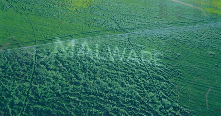 Capturing aerial farmland pattern showing fields divided by dirt track, with shrubland texture