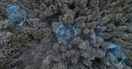 Showing snow-covered forest canopy in aerial view with blue network circles and glowing data points
