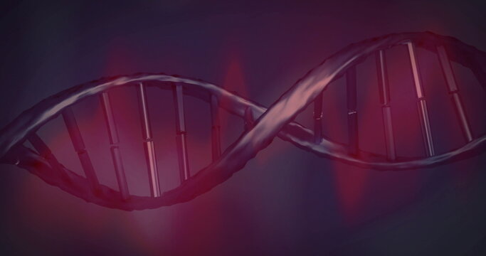 Rotating DNA double helix model twisting across digital space, with rods and rungs, red flares