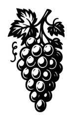 Vintage Grapes Illustration in Black and White