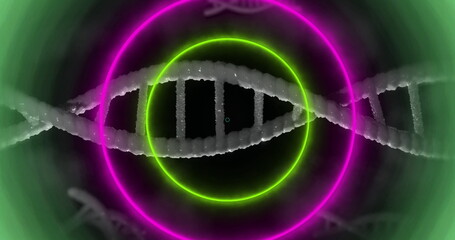 Displaying white DNA helix spanning digital studio featuring neon green and pink glowing rings