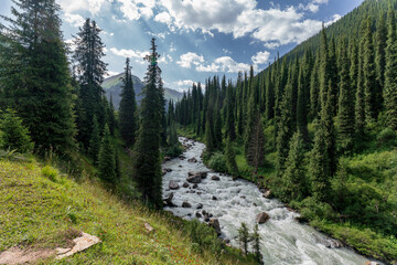 Fototapeta premium Altyn Arashan. Kyrgyzstan. Gorgeous nature
