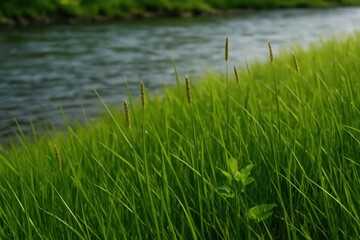 A Serene Scene of Nature's Beauty