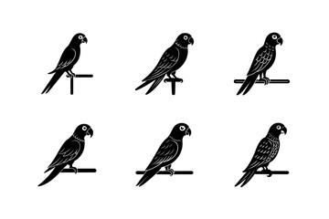 Fototapeta premium parrot on a perch vector art silhouette