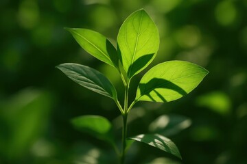 Obraz premium A Close-Up of Thriving Leaves in a Blurred Garden Backdrop