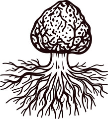 Detailed hand drawn illustration of a truffle mushroom with roots isolated on white, botanical vintage engraving