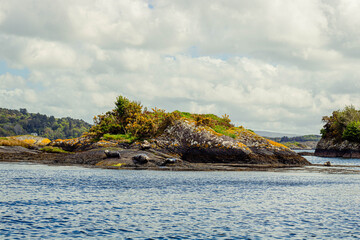 A tiny island with seals lying on rocky outcrops, off the coast of Garnish Island, West Cork,...