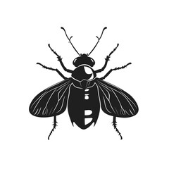Black and White Vector Illustration of Housefly Insect on White Background