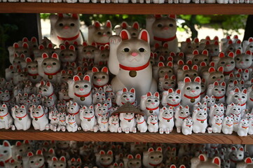 Japanese Lucky Cat Statues Decorated by Tourists Show Unique Personalities at the Gotokuji Lucky...