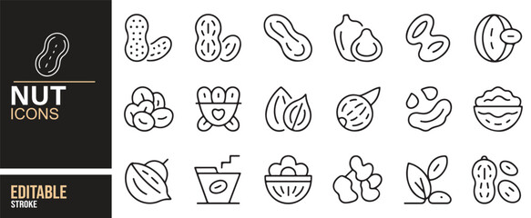 Clean Line Art Nut Icons for Peanuts, Almonds, Cashews, and Other Healthy Snacks