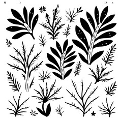 Abstract Botanical Illustration: Black and White Plant Silhouettes on White Background