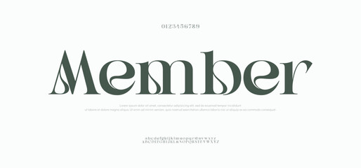 Member elegant font alphabet uppercase lowercase and number. Classic lettering minimal fashion designs. Typography modern serif fonts regular decorative vintage concept. Vector illustration
