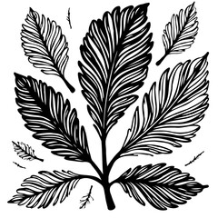 Botanical illustration showcasing intricate leaf designs in monochrome artwork