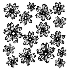 Fototapeta premium Elegant Floral Arrangement: A Monochrome Symphony of Delicate Flower Silhouettes
